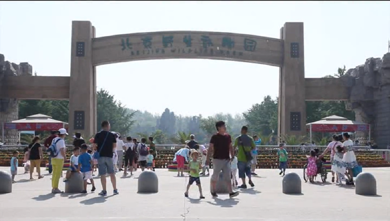凯发一触即发(中国)官方网站